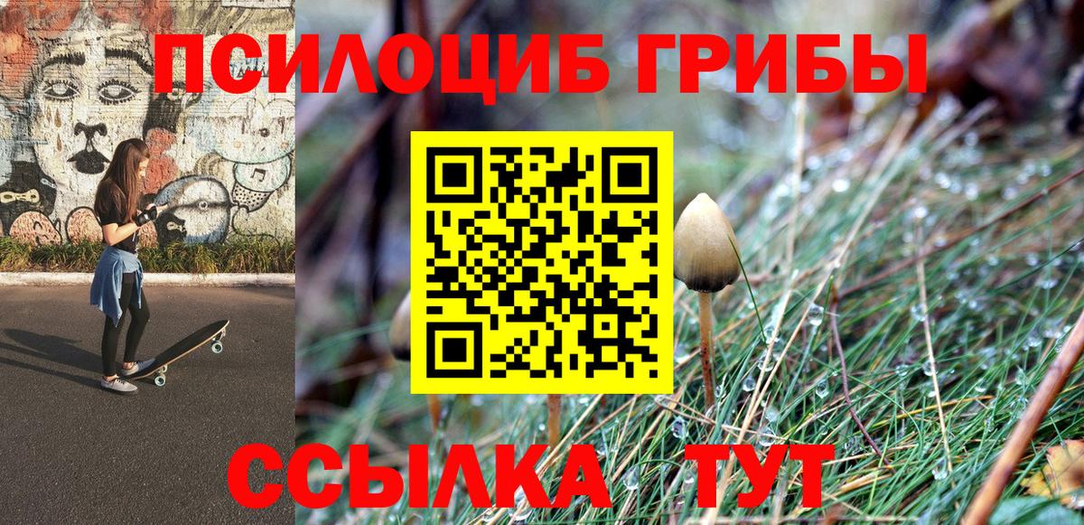 Галлюциногенные грибы Psilocybe  даркнет сайт  Вход с VPN  Шатура  Псилоцибиновые грибы Cubensis 